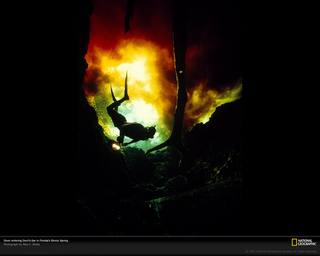 Illustration for article titled R.I.P. Wes Skiles, the photographer who captured the forbidding beauty of underwater caves